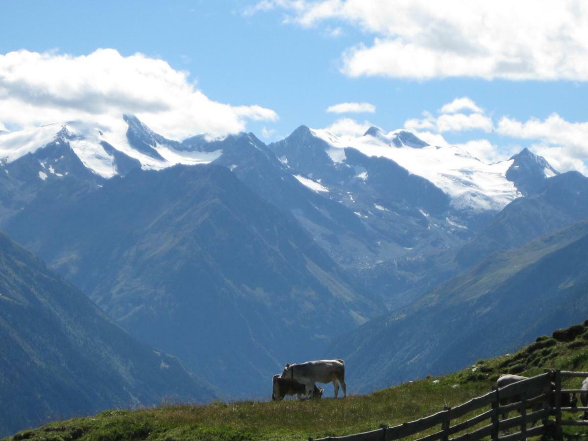 Haus Gamskogl Neustift im Stubaital Exterior foto