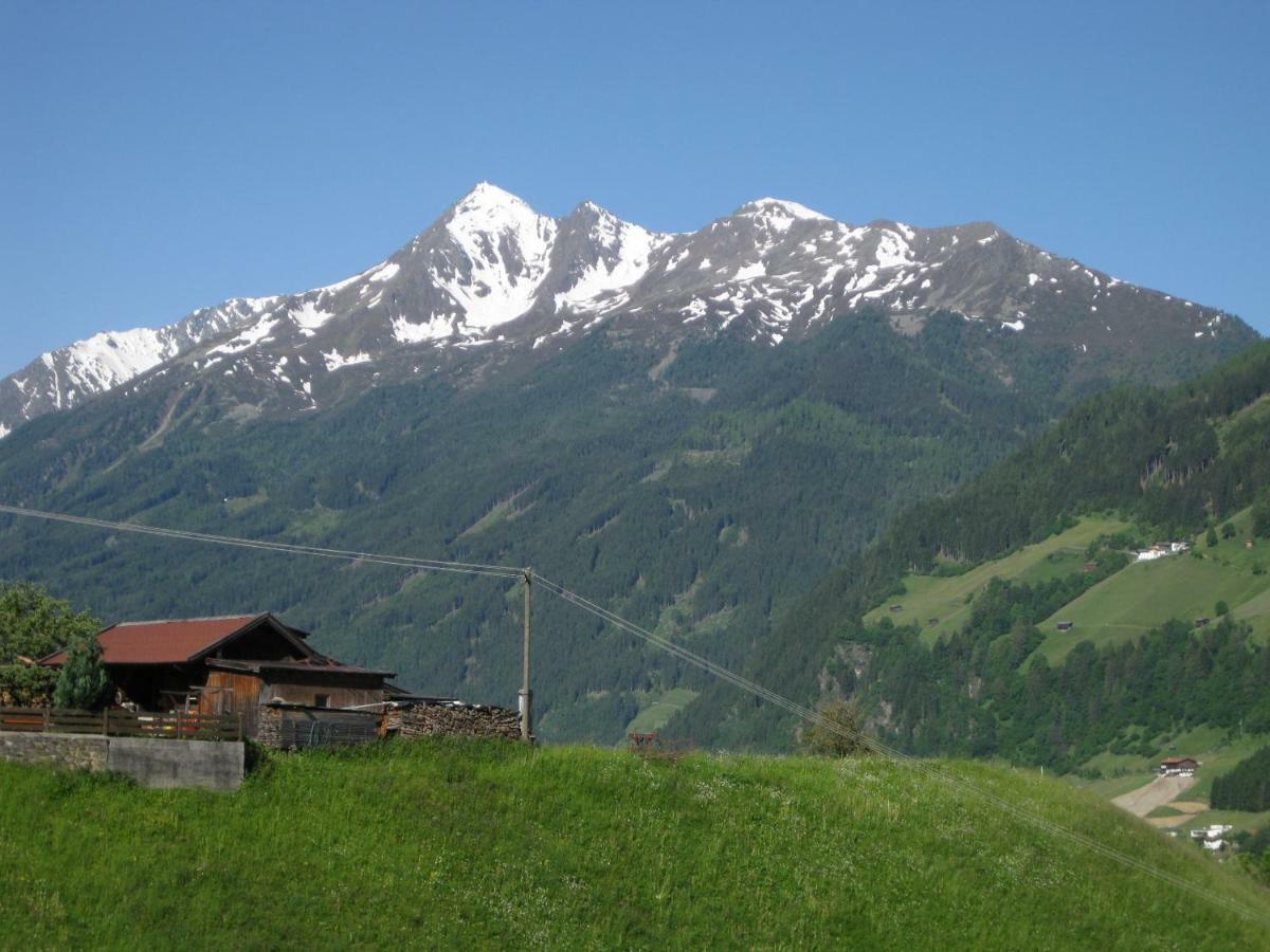 Haus Gamskogl Neustift im Stubaital Exterior foto