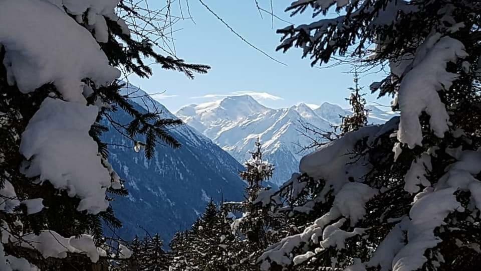 Haus Gamskogl Neustift im Stubaital Exterior foto