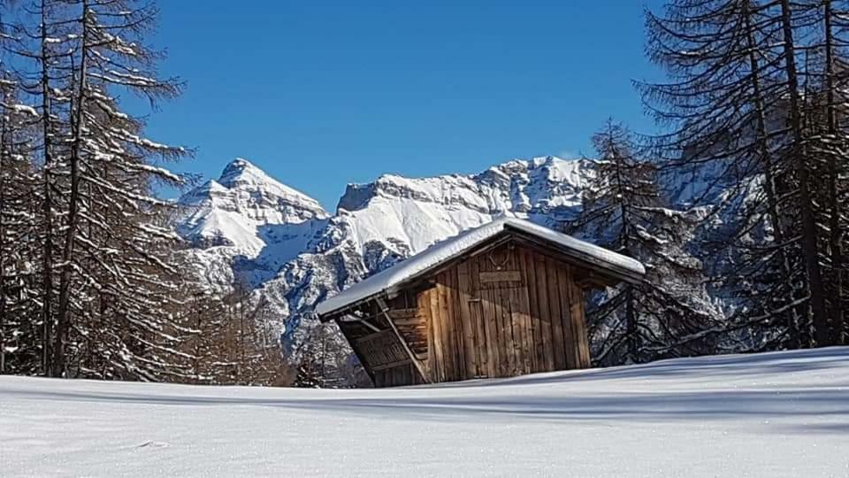 Haus Gamskogl Neustift im Stubaital Exterior foto