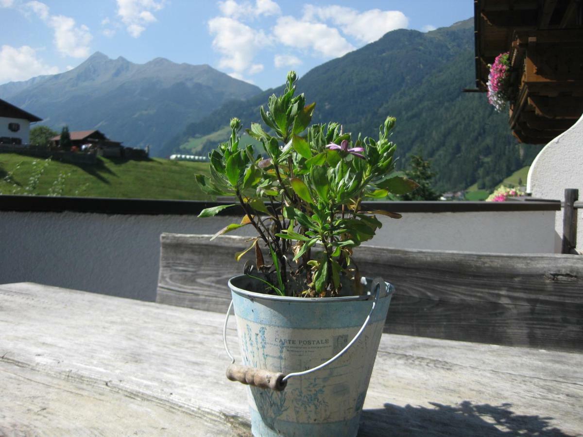 Haus Gamskogl Neustift im Stubaital Exterior foto